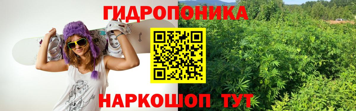 Марихуана Bruce Banner Алушта